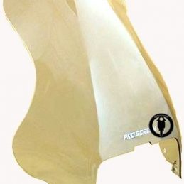 Parabrisa Bmw R 1100 Gs
