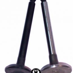 Valvulas Adm Y Esc Motos Dax 70 C 90 Guerrero