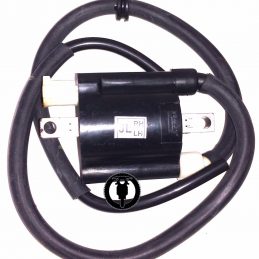 Bobina De Alta Izquierda Motos Rouser Ns 200